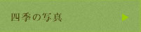四季の写真